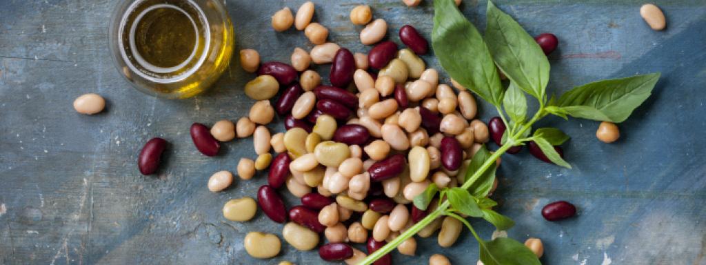 #7 Plantaardige inspiratie voor chefs