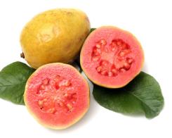 Guava