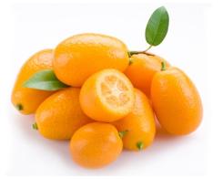 Kumkwat