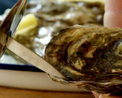 Cum se mănâncă stridiile?