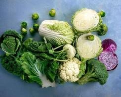 Succesul familiei verzelor