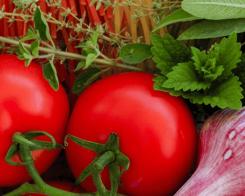 Aduceți în bucătărie spiritul frumos al mâncărurilor din Italia