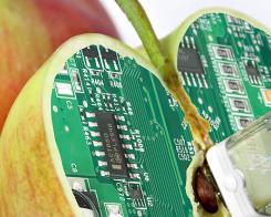 Mâncare periculoasă: a mânca sau a nu mânca