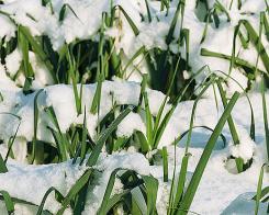 Cum să mâncaţi bine şi sănătos în timpul iernii