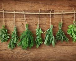 Pentru sănătate – plantele medicinale în bucătărie