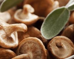 Gătește rețete cu ciuperci pentru întreaga familie