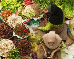 Reţete culinare de mâncare chinezească. Legumele Asiei de sărbători