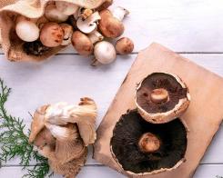 Гъбите, свойства и хранителни стойности