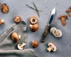 Гъбите откриват своята тайна