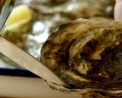 Как се ядат стриди? Изкуството на средиземноморското хранене