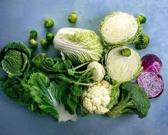 Кариерата на семейство Зелеви. Богатите на витамини броколи