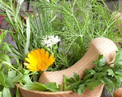 Нови подправки за салати със зеленчуци. Специално за вашите есенни рецепти