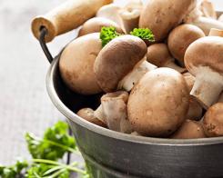 Нови рецепти за старите гъби
