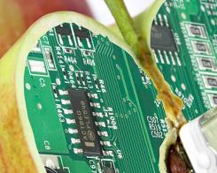 Опасна храна: да ям или да не ям. Здравословното хранене е въпрос на количество