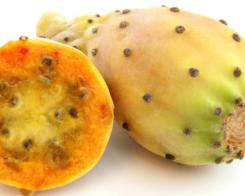 Плодът опунция – не просто полезен, а свещен. Помага при диети и отслабване