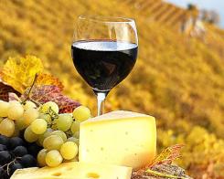 Предимствата на почивката в планината и чистата храна