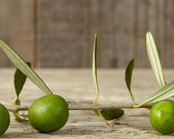 Средиземноморски вкус: здравословно хранене без граници