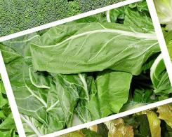 Важността на здравословното хранене