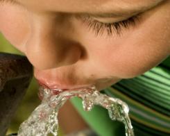 Водата – съществен елемент от здравословната диета