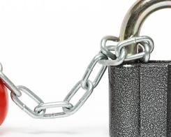 Защо сме толкова обвързани с местната храна?