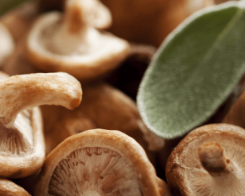 Здравословно хранене с гъби