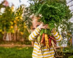 DE PE CÂMP ÎN FARFURIE