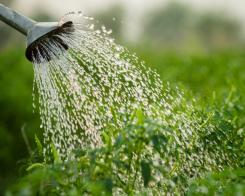 #3 Minder bestrijdingsmiddelen