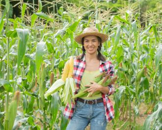 Maíz en la gastronomía internacional: Un repaso a las recetas de todo el mundo