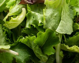 FR - Les crudités, qu'est-ce que c'est ?