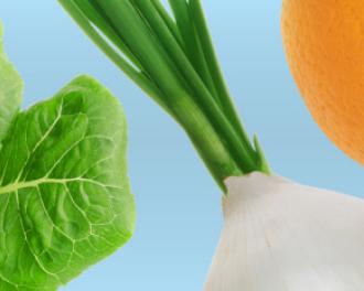 Perfekt organisiert, damit nichts mehr weggeworfen werden muss