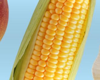 So schaffst du Ordnung in deinem Kühlschrank und in deinen Vorratsschränken