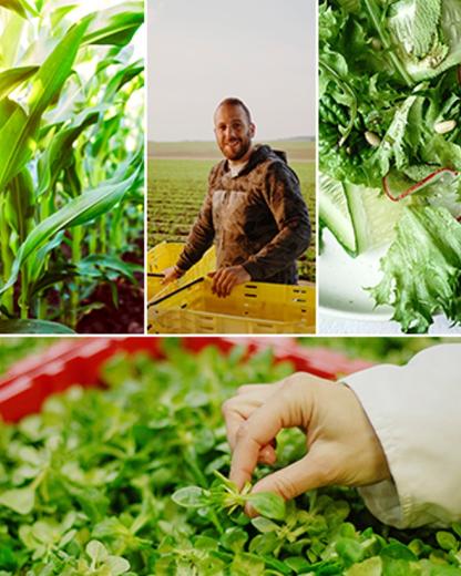 Angajamentul nostru pentru o lume mai bună