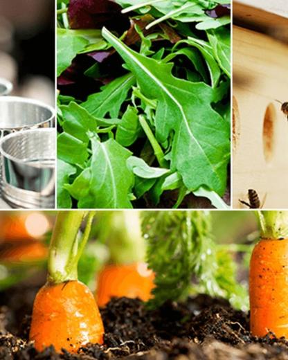 Prioritatea zero deșeuri