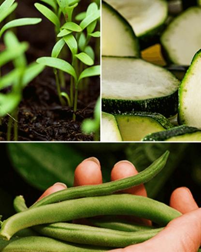 Sustenabilitatea este un lucru pe care trebuie să îl cultivi