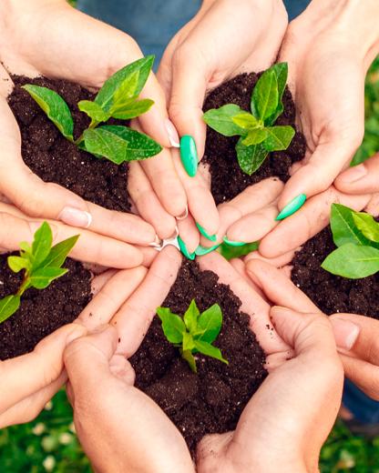 La Fundación Bonduelle en acción: La convocatoria de Proyectos Sociales