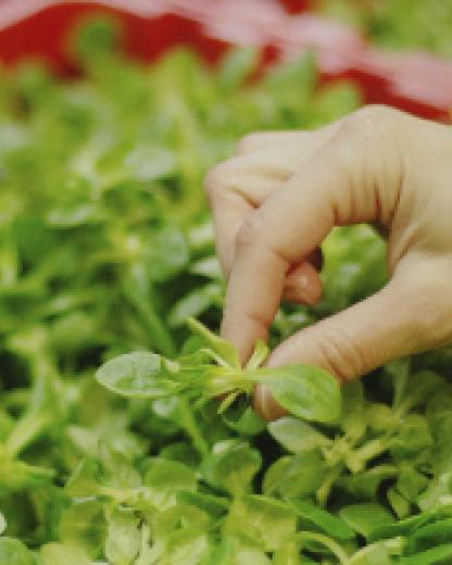 Notre pacte pour un monde meilleur