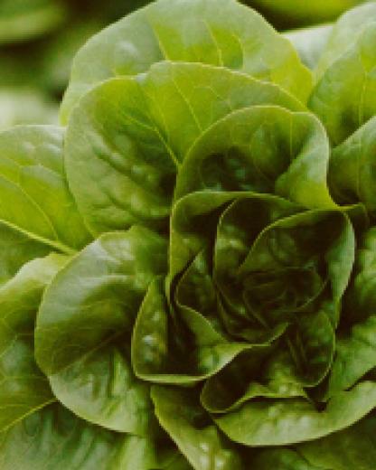 Nuestro compromiso en España