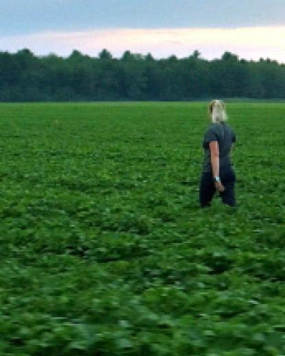 Bonduelle, ahora y siempre...¡Hagámoslo juntos!