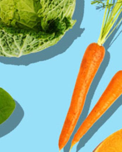 Nous aidons à la sauvegarde de la biodiversité