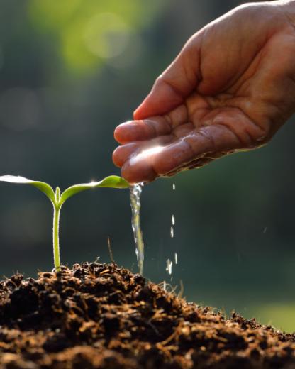 Protection de l'environnement 