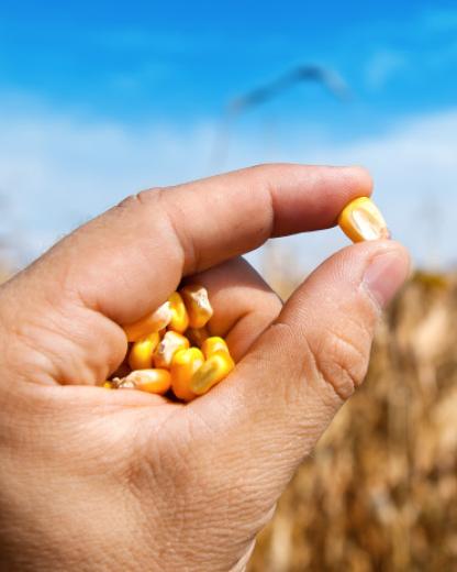 La recette de l’innovation