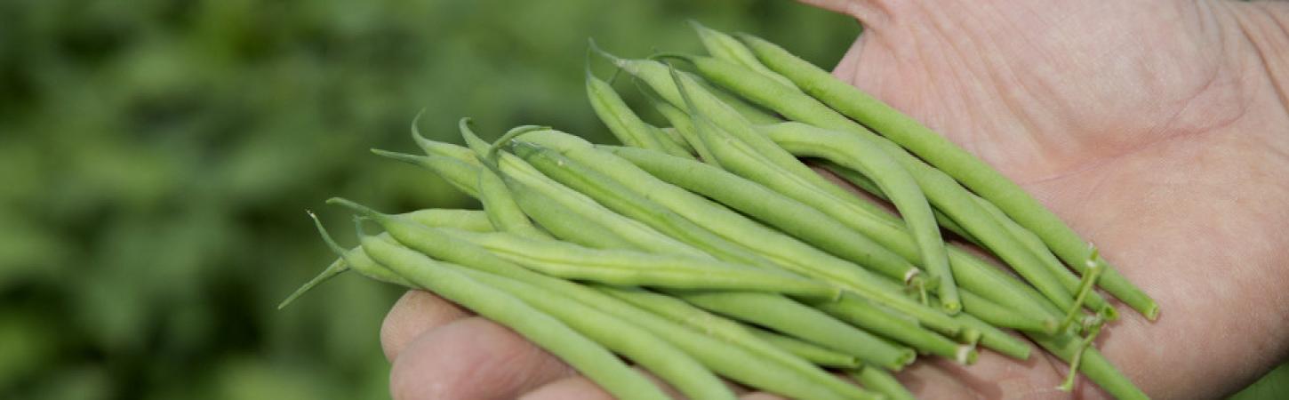 Nouvelles saveurs, nouvelles textures