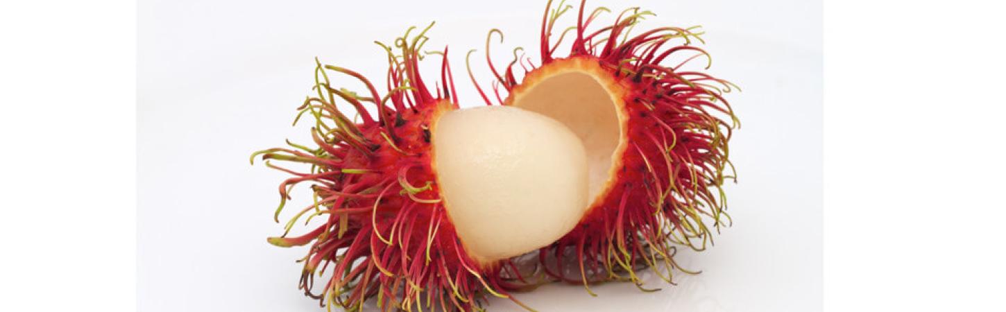 Rambutanul