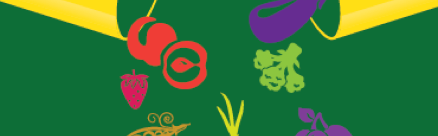 Как да компенсираме недостига на витамин А?