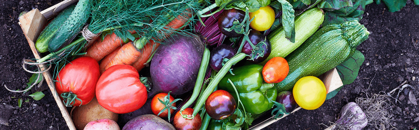 Как да подхраним тялото си през лятото с пресни зеленчуци