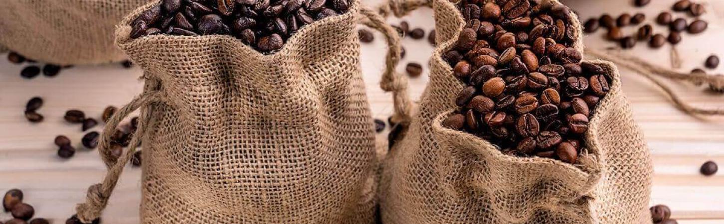 Каква е разликата между Арабика и Робуста?