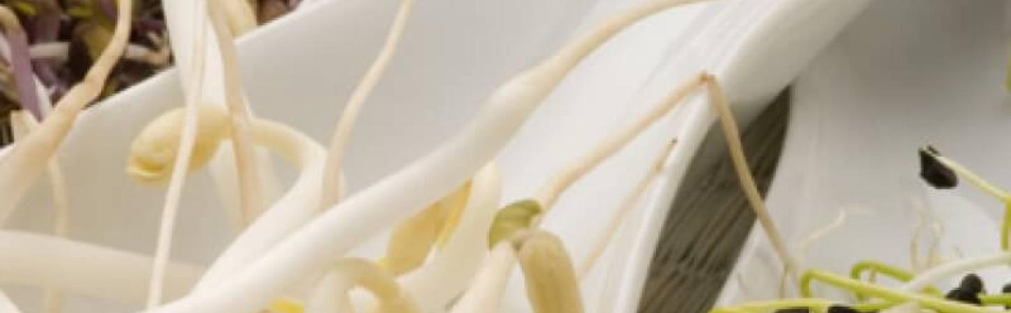 Кълновете – силата на витамините. Броколи, леща, соя и други