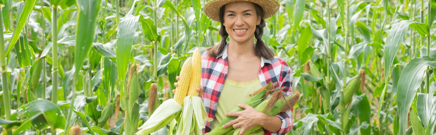 Maíz en la gastronomía internacional: Un repaso a las recetas de todo el mundo