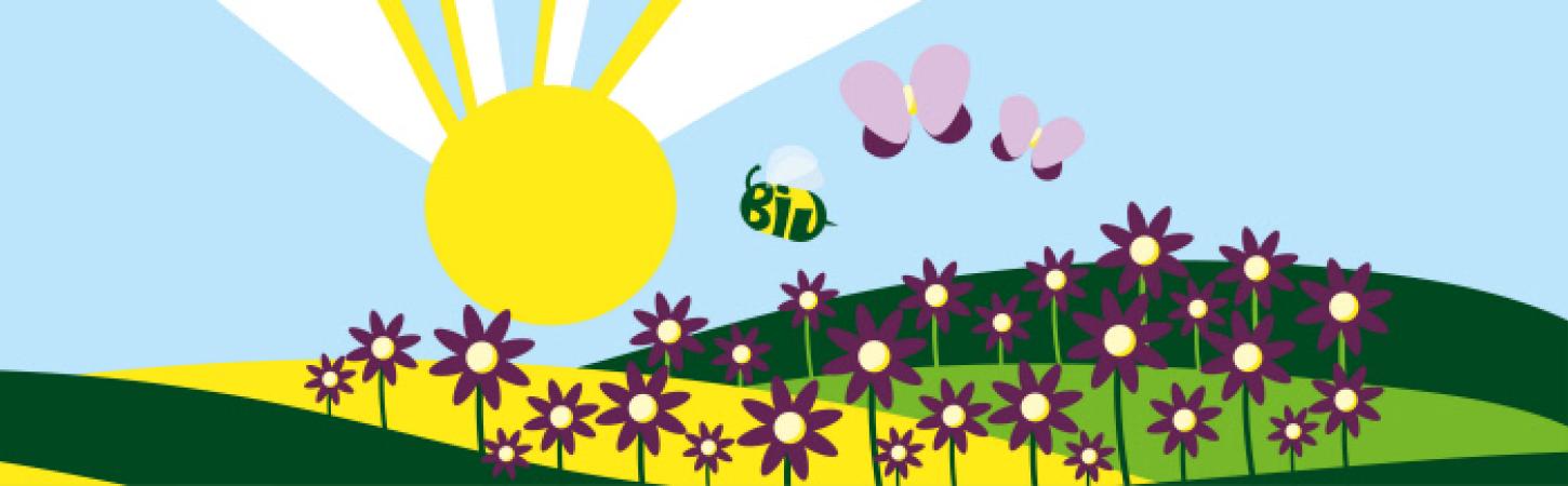 Biodiversiteit boosten én de bodem beschermen, zo doen we dat