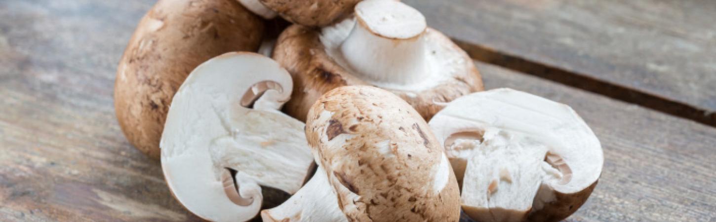 Pieczarka… z paryskich pieczar